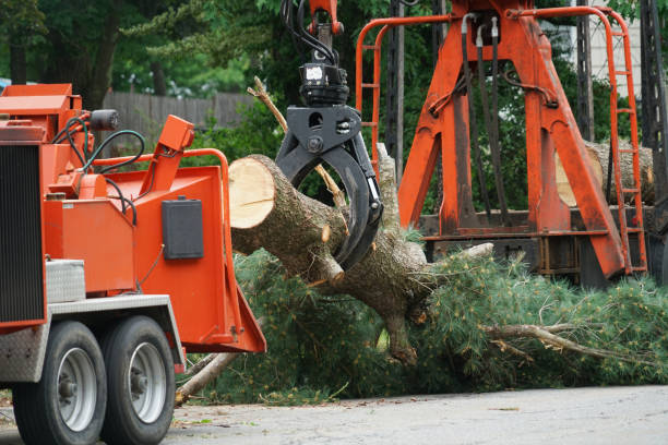 Mulching Services in Rifle, CO